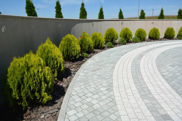 Best Decorative Driveway Pavers  in Hazlehurst, GA